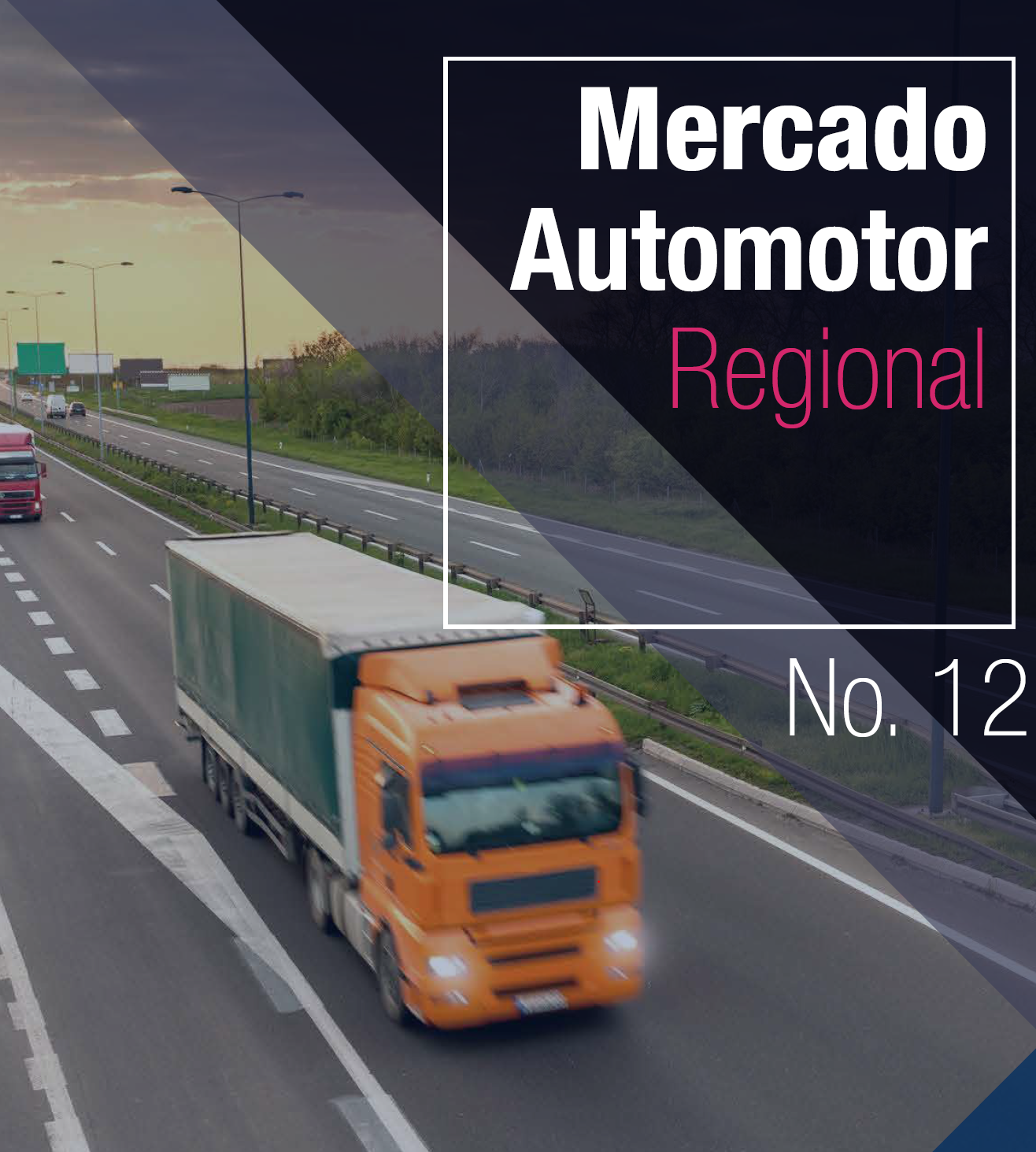 Mercado Automotor Regional – Nº 12